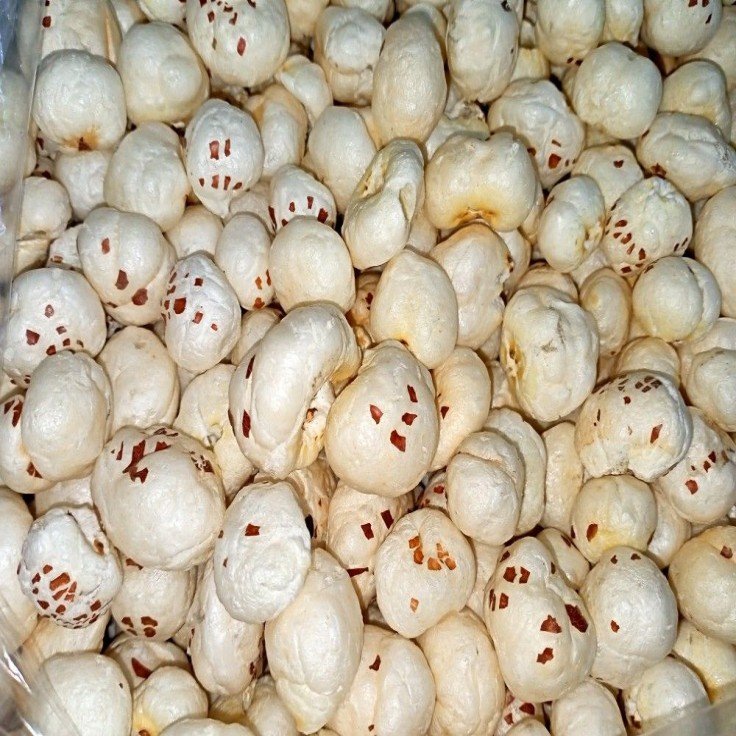 Foxnuts